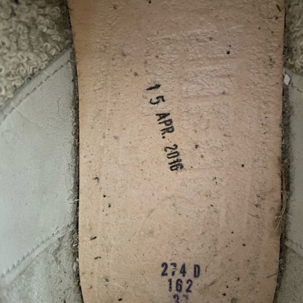Golden goose - Picture 11 of 12